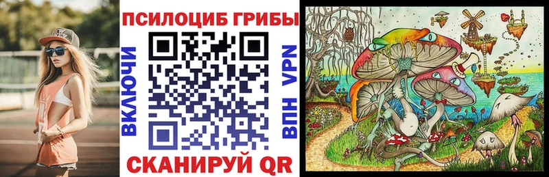 ссылка на мегу ССЫЛКА  Балашов  Псилоцибиновые грибы Psilocybine cubensis  где купить  